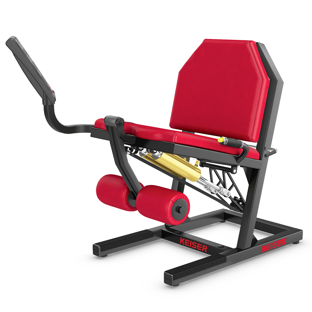 Keiser Air300 Leg Extension
