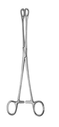 Tampontang Foerster - 25 cm - 1 st