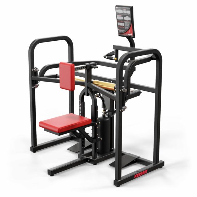Keiser Air350 Bi-Axial Upper Back