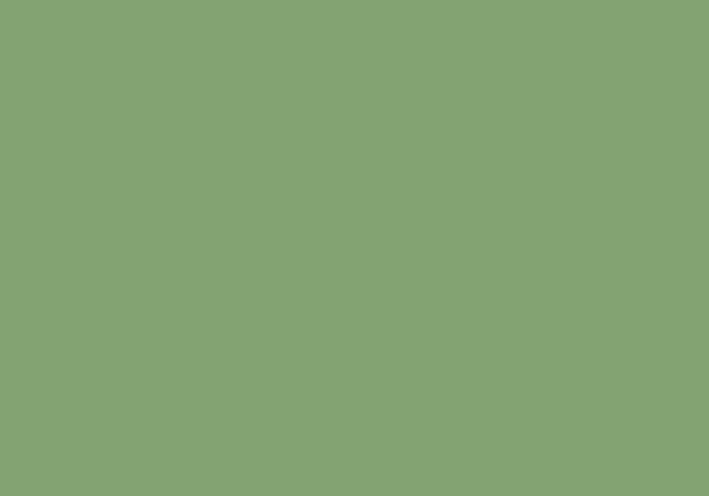Kleur bekleding Wesseling - Fresh -  75387 Grass