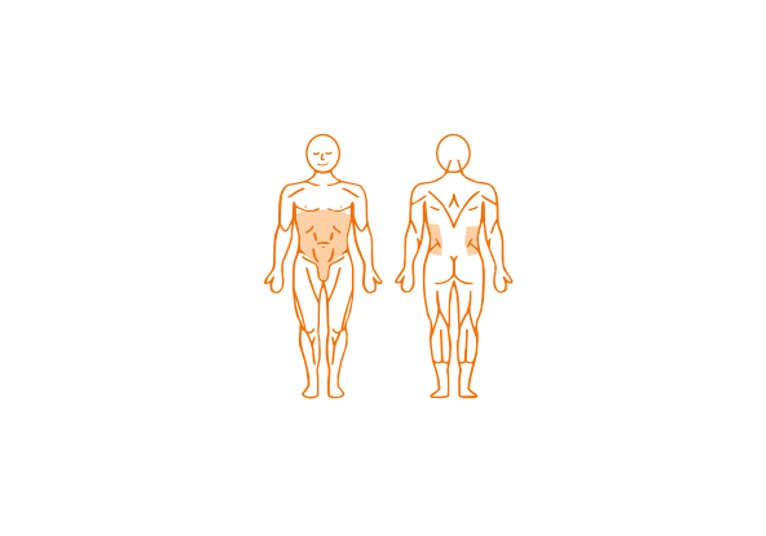 EN-DYNAMIC - Abdominal Trainer