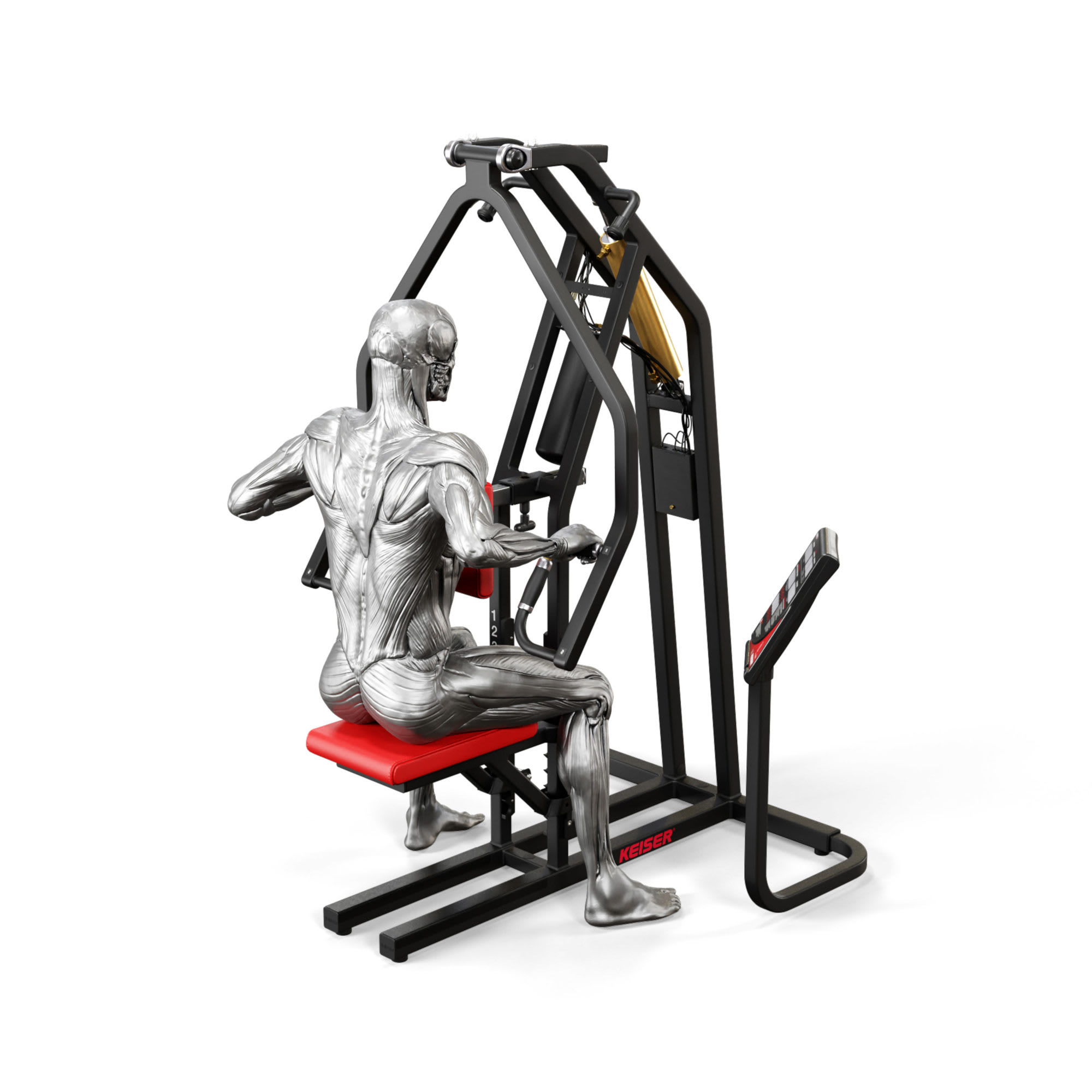 Keiser Air250 Upper Back