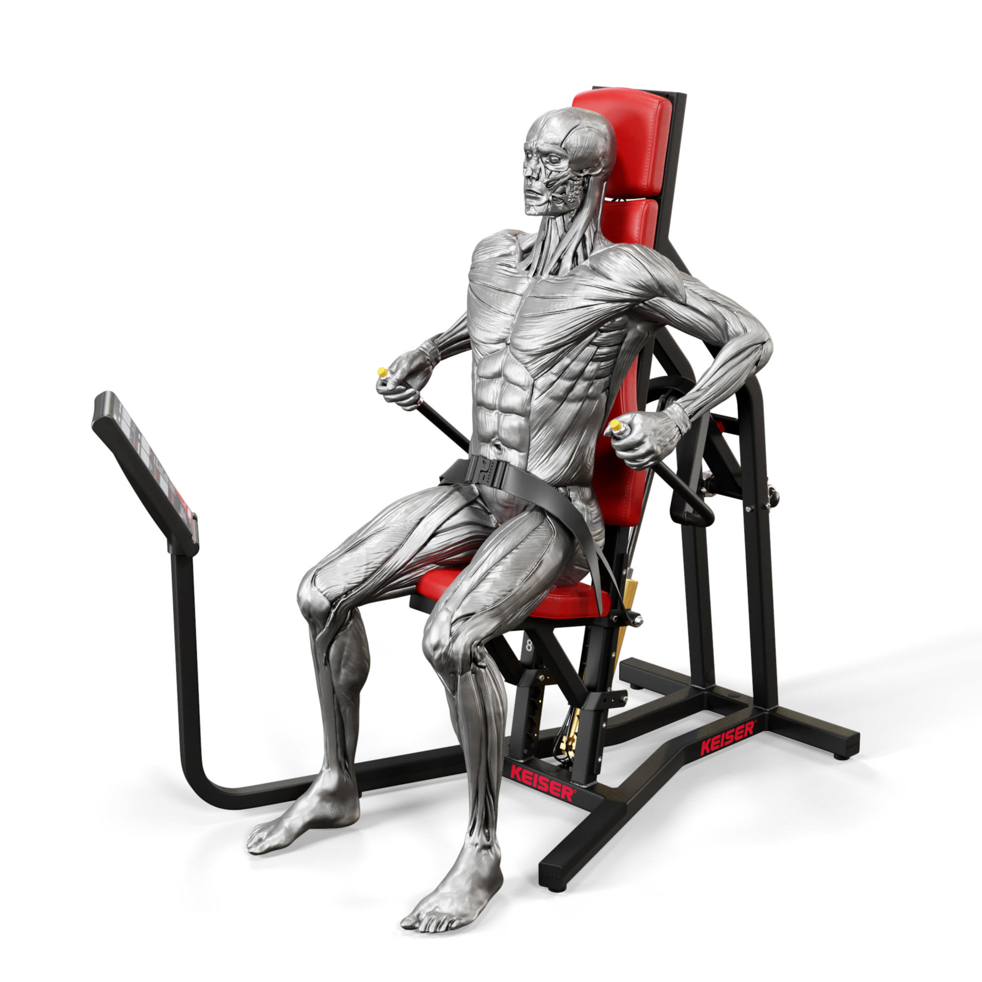 Keiser Air250 tricep