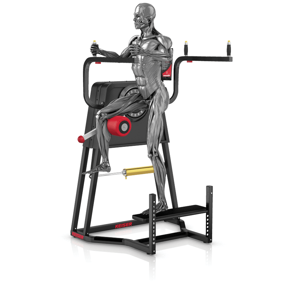 Keiser Air250 Standing Hip