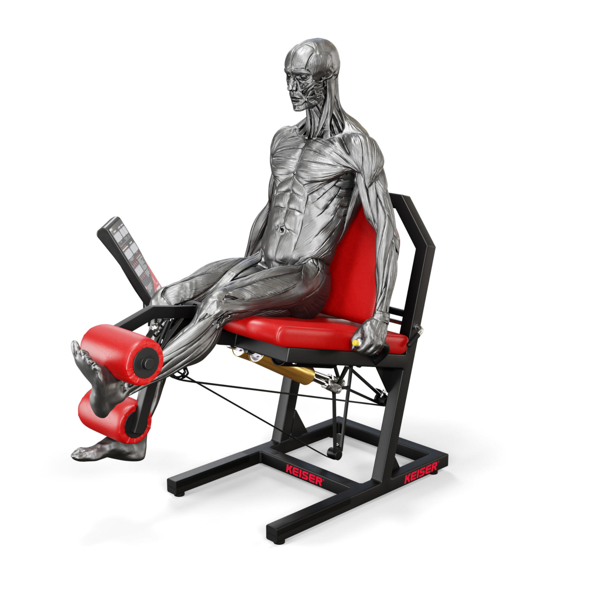 Keiser Air300 Leg Extension
