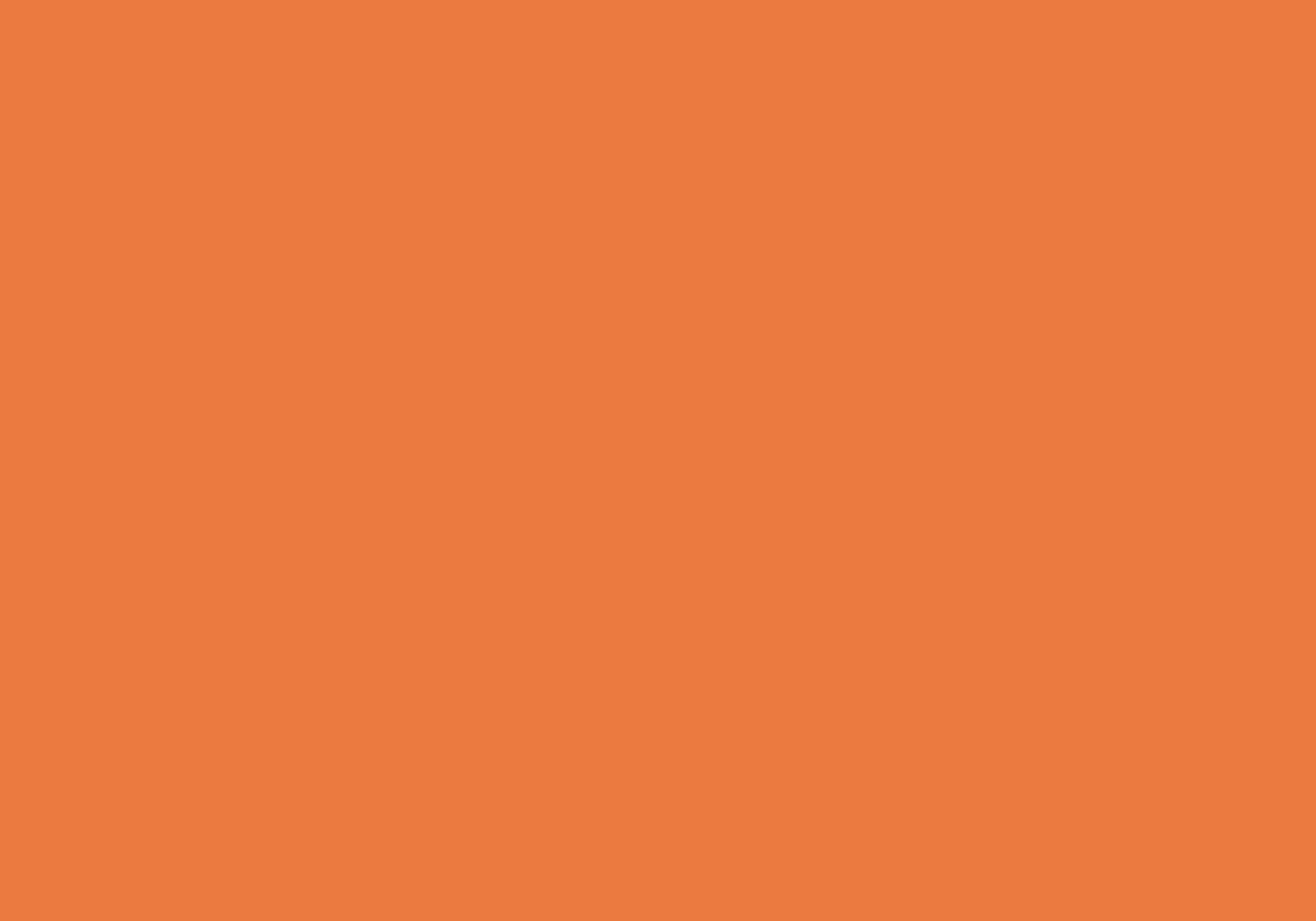 Kleur bekleding Wesseling - Fresh -  23211 Orange