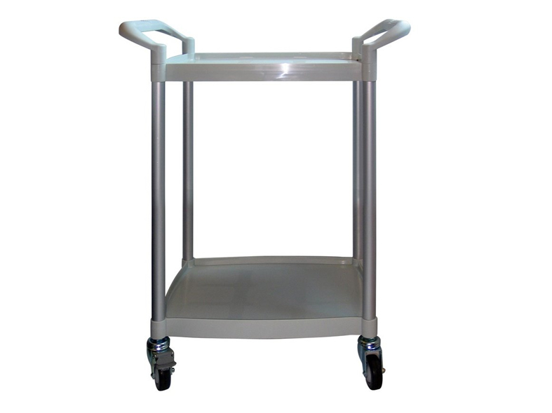 Trolley met 2 lagen - aluminium - 1 st