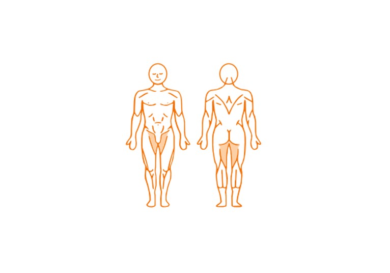 EN-DYNAMIC - Adduction