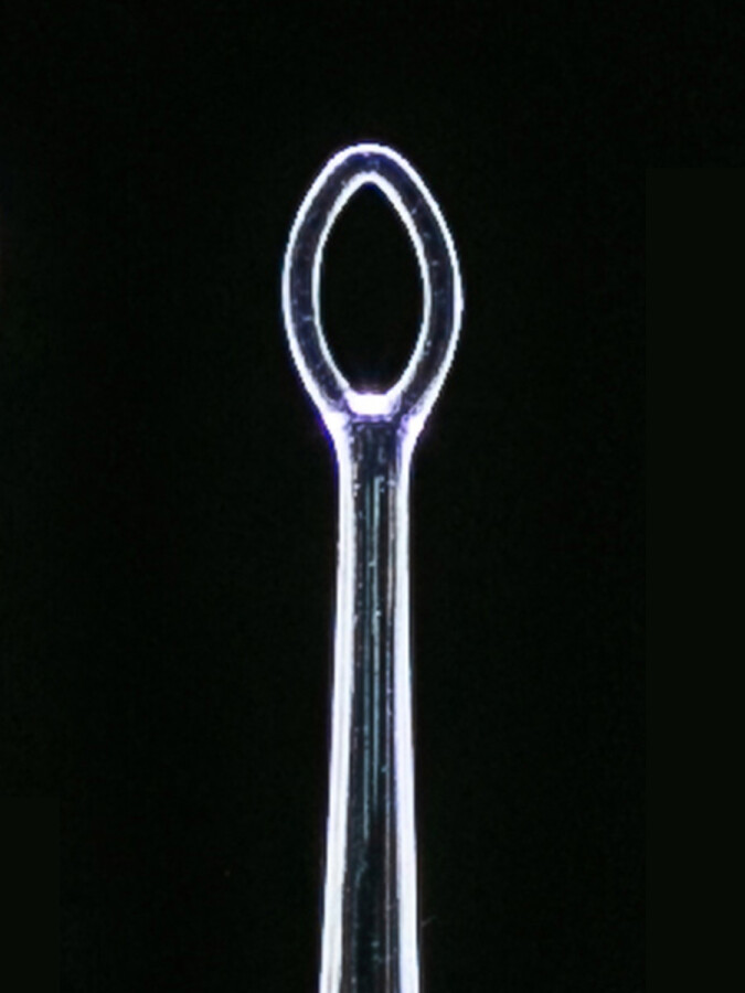 Clearlook Versaloop illuminée - 1 source lumineuse - 1 loupe - (50 curettes avec tips de 3 mm, 1 source, 1 magnific lentille)
