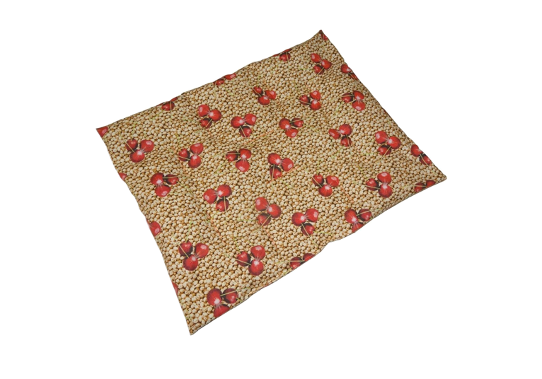 Coussin noyau de cerise
