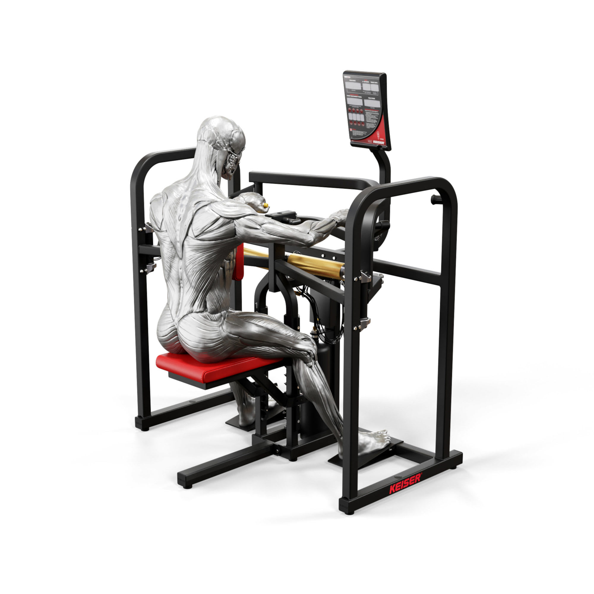 Keiser Air350 Bi-Axial Upper Back